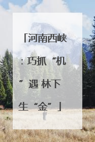 河南西峡：巧抓“机”遇 林下生“金”