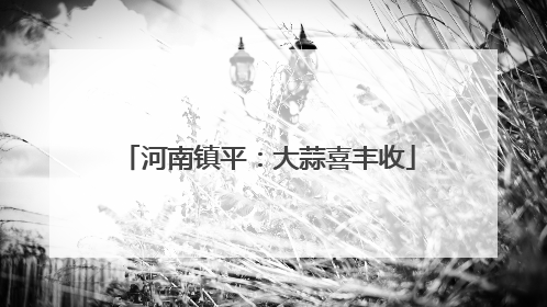河南镇平：大蒜喜丰收