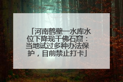 河南鹤壁一水库水位下降现千佛石窟：当地试过多种办法保护，目前禁止打卡