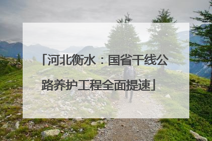 河北衡水：国省干线公路养护工程全面提速
