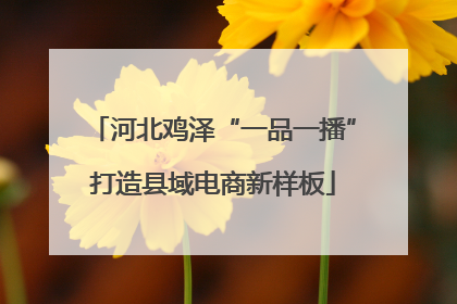 河北鸡泽“一品一播”打造县域电商新样板