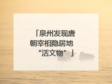 泉州发现唐朝宰相隐居地“活文物”