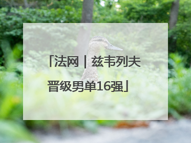 法网｜兹韦列夫晋级男单16强