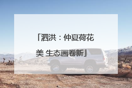 泗洪：仲夏荷花美 生态画卷新