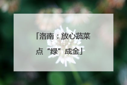 洛南：放心蔬菜点“绿”成金