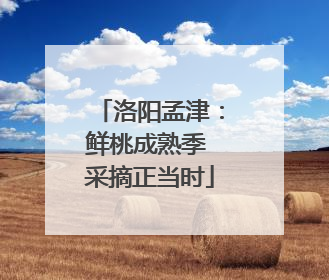 洛阳孟津：鲜桃成熟季 采摘正当时