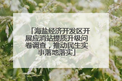 海盐经济开发区开展应消站提质升级问卷调查，推动民生实事落地落实