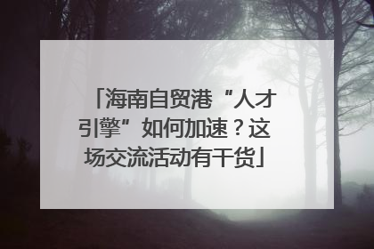 海南自贸港“人才引擎”如何加速？这场交流活动有干货