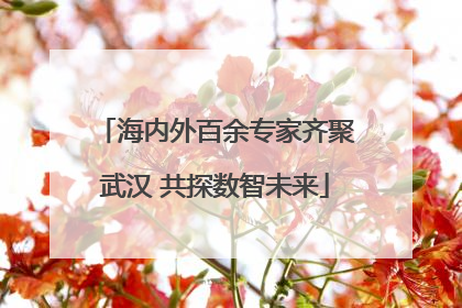 海内外百余专家齐聚武汉 共探数智未来