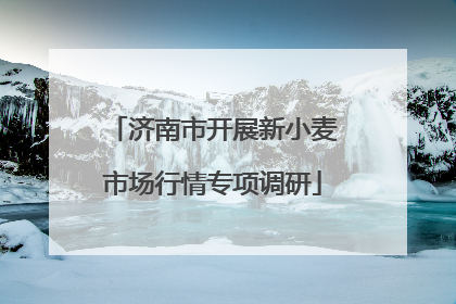 济南市开展新小麦市场行情专项调研