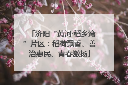 济阳“黄河·稻乡湾”片区：稻荷飘香、善治惠民、青春激扬