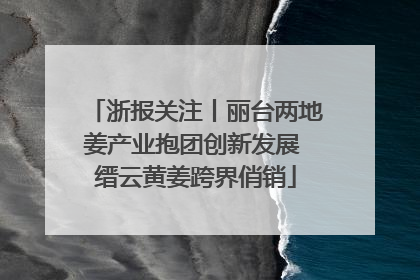 浙报关注丨丽台两地姜产业抱团创新发展 缙云黄姜跨界俏销