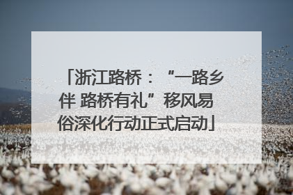 浙江路桥：“一路乡伴 路桥有礼”移风易俗深化行动正式启动