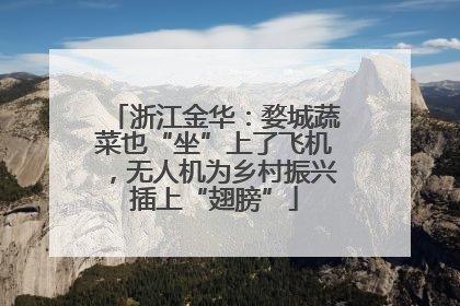 浙江金华：婺城蔬菜也“坐”上了飞机，无人机为乡村振兴插上“翅膀”