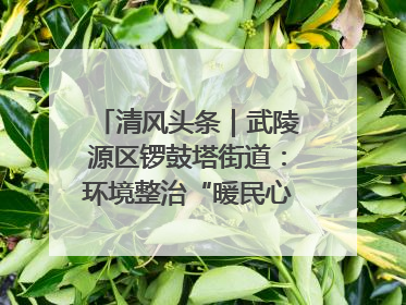 清风头条｜武陵源区锣鼓塔街道：环境整治“暖民心” 辖区面貌“靓”起来