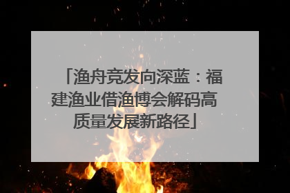 渔舟竞发向深蓝：福建渔业借渔博会解码高质量发展新路径