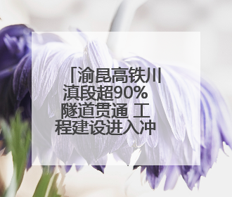 渝昆高铁川滇段超90%隧道贯通 工程建设进入冲刺阶段