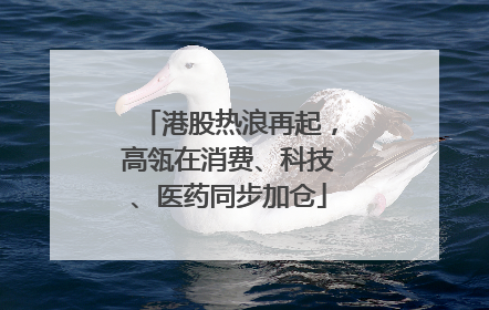 港股热浪再起，高瓴在消费、科技、医药同步加仓