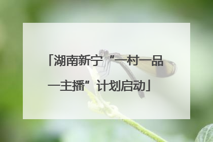 湖南新宁“一村一品一主播”计划启动