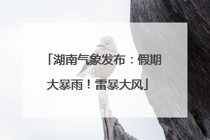 湖南气象发布:假期大暴雨!雷暴大风