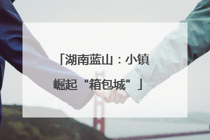 湖南蓝山：小镇崛起“箱包城”