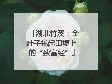 湖北竹溪：金叶子托起田埂上的“致富经”