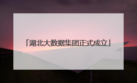 湖北大数据集团正式成立
