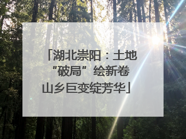 湖北崇阳：土地“破局”绘新卷 山乡巨变绽芳华