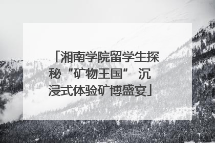 湘南学院留学生探秘“矿物王国” 沉浸式体验矿博盛宴