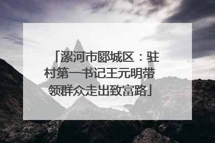 漯河市郾城区：驻村第一书记王元明带领群众走出致富路