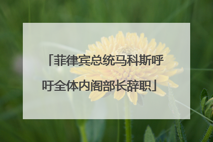 菲律宾总统马科斯呼吁全体内阁部长辞职