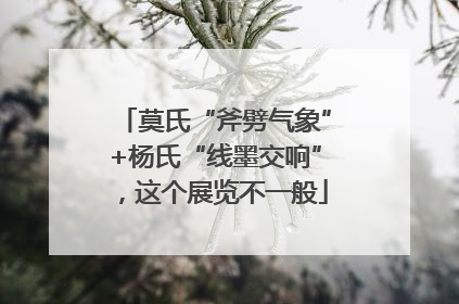 莫氏“斧劈气象”+杨氏“线墨交响”，这个展览不一般
