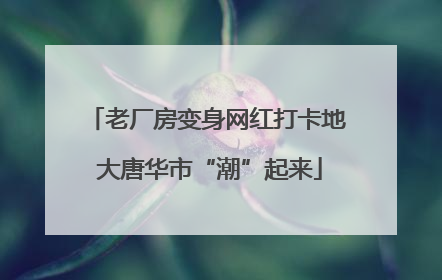 老厂房变身网红打卡地 大唐华市“潮”起来