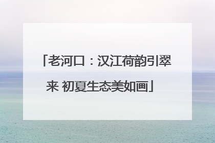 老河口：汉江荷韵引翠来 初夏生态美如画