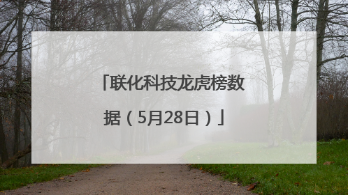 联化科技龙虎榜数据（5月28日）