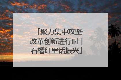 聚力集中攻坚·改革创新进行时｜石榴红里话振兴