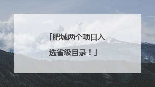 肥城两个项目入选省级目录！