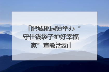 肥城桃园镇举办“守住钱袋子护好幸福家”宣教活动