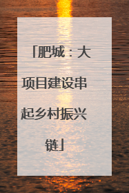 肥城：大项目建设串起乡村振兴链
