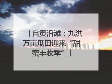 自贡沿滩：九洪万亩瓜田迎来“甜蜜丰收季”