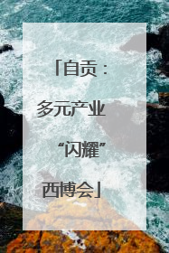 自贡：多元产业“闪耀”西博会