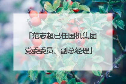 范志超已任国机集团党委委员、副总经理