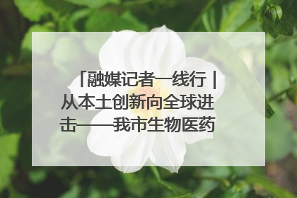 融媒记者一线行｜从本土创新向全球进击——我市生物医药产业破茧突围