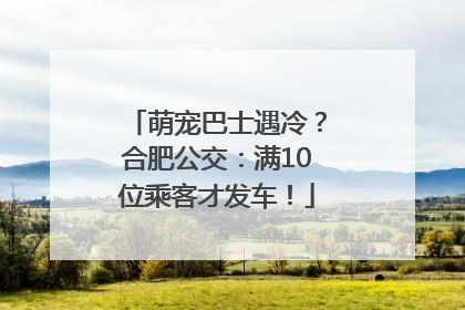 萌宠巴士遇冷？合肥公交：满10位乘客才发车！
