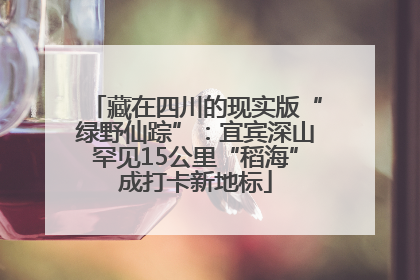藏在四川的现实版“绿野仙踪”：宜宾深山罕见15公里“稻海”成打卡新地标