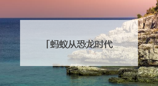 蚂蚁从恐龙时代就开始搞组织架构！华大参与解码“昆虫文明”