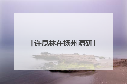许昆林在扬州调研