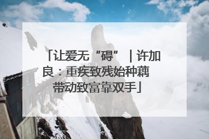 让爱无“碍”｜许加良：重疾致残始种藕 带动致富靠双手
