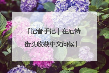 记者手记｜在厄特街头收获中文问候