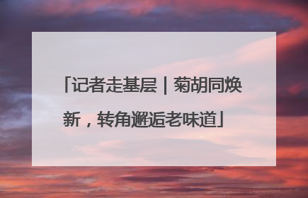 记者走基层｜菊胡同焕新，转角邂逅老味道